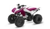 ATVs